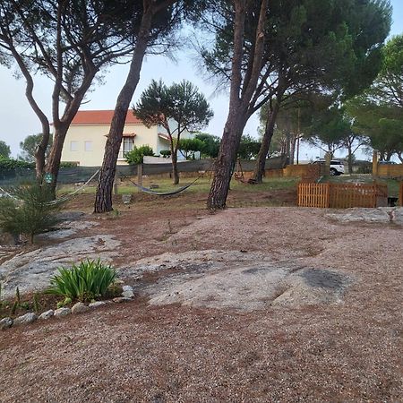 Casas De Campo Villa D'Almeida Travancinha エクステリア 写真